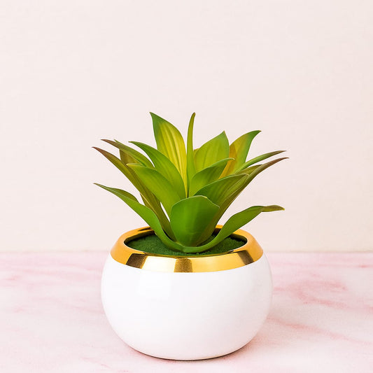 Mini Faux Succulent in White Ceramic Pot with Gold Rim