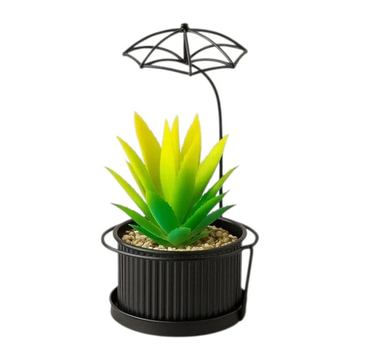 Mini Succulent Planter With Metal Umbrella